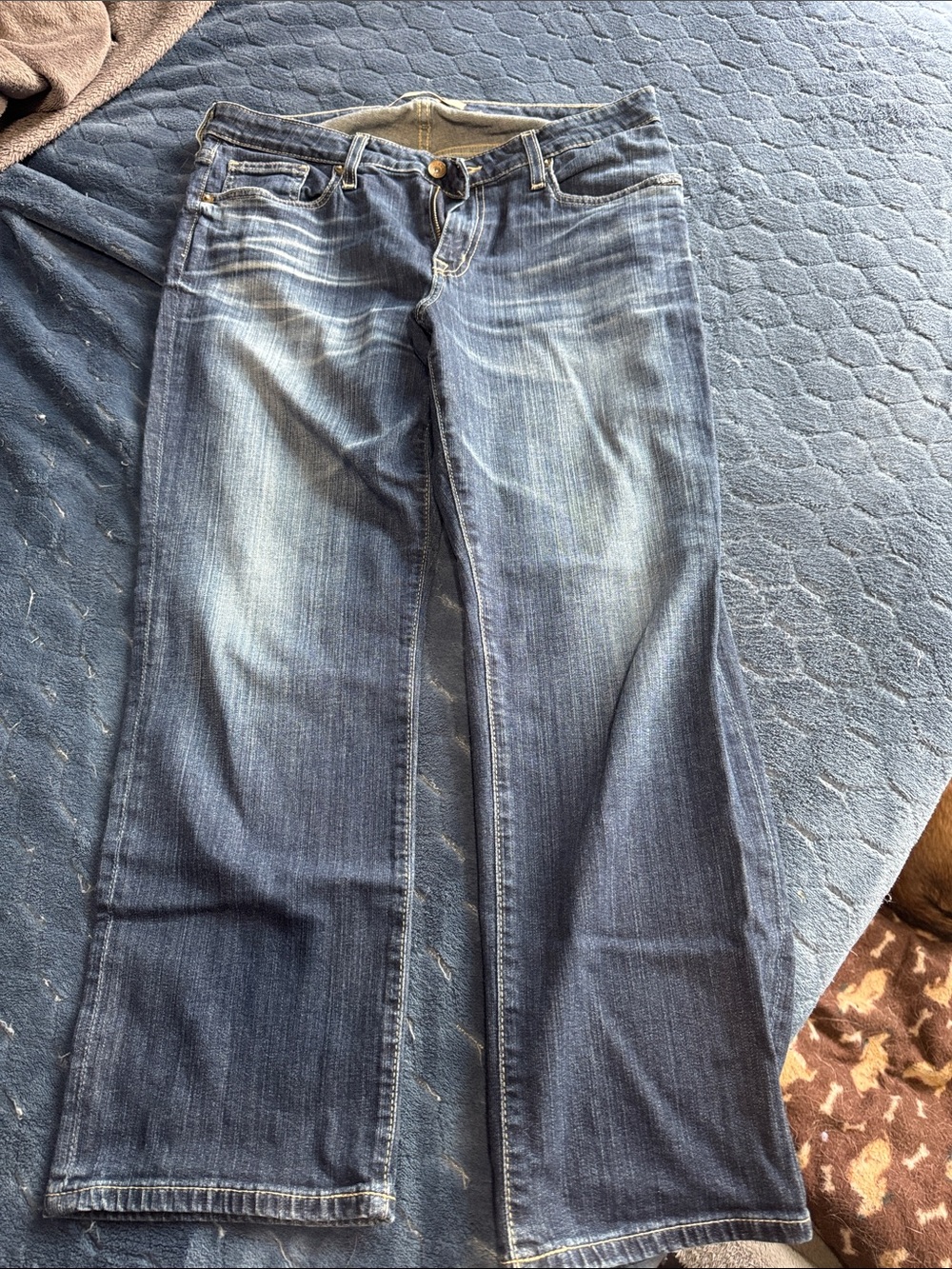 Big Star Dark Blue Denim Jeans with Contrast Stitching